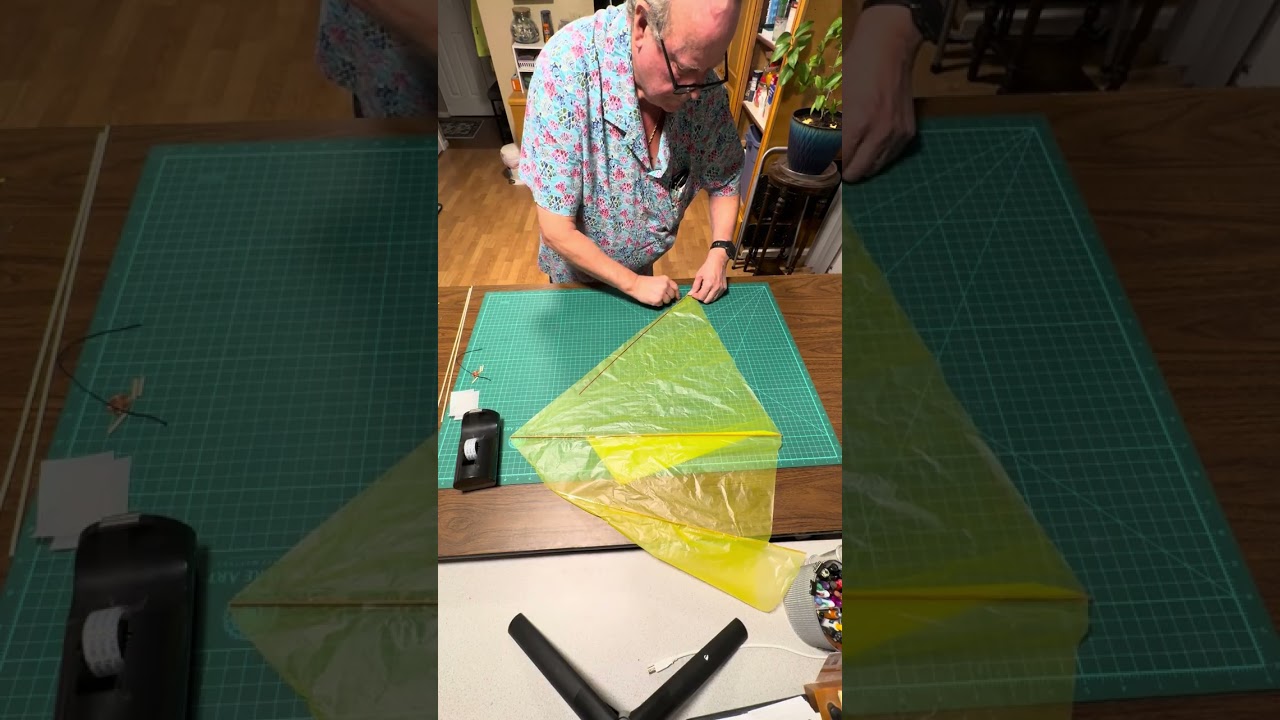 Trash Bag Delta Indoor Kite