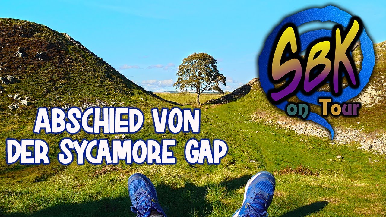 Aktuelles: Die Sycamore Gap ist nicht mehr 😢