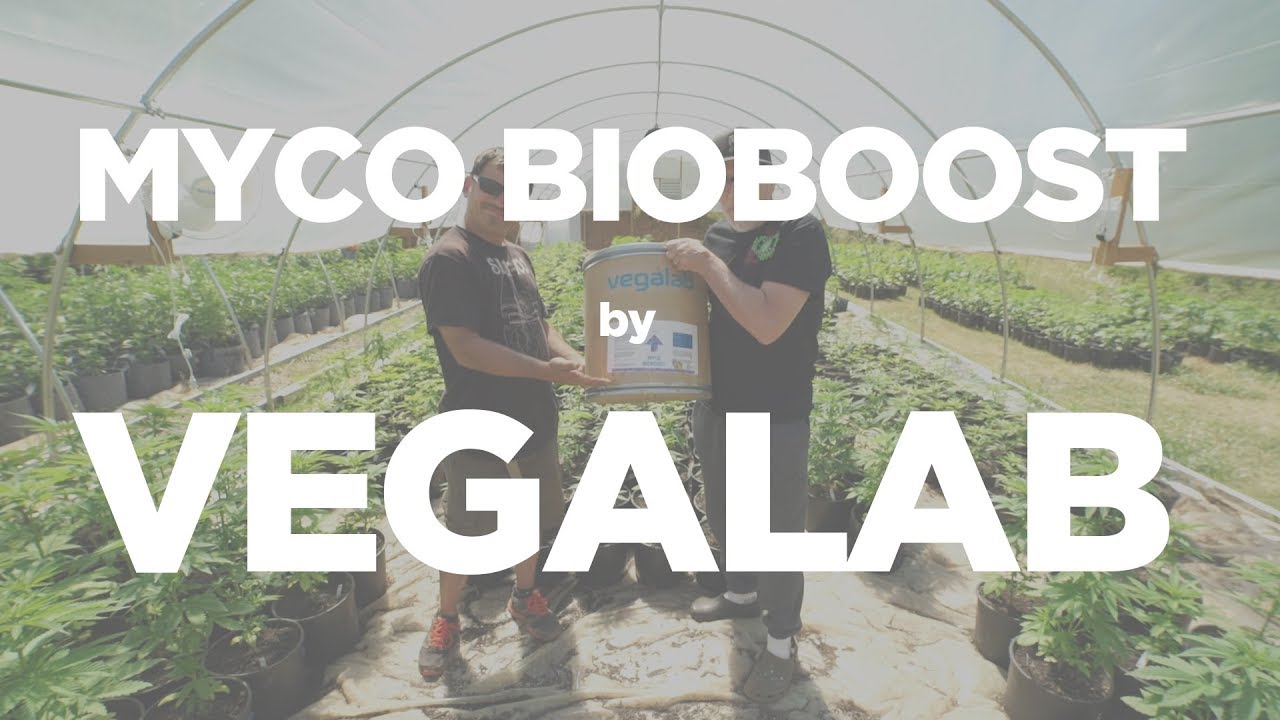 Myco BioBoost by Vegalab
