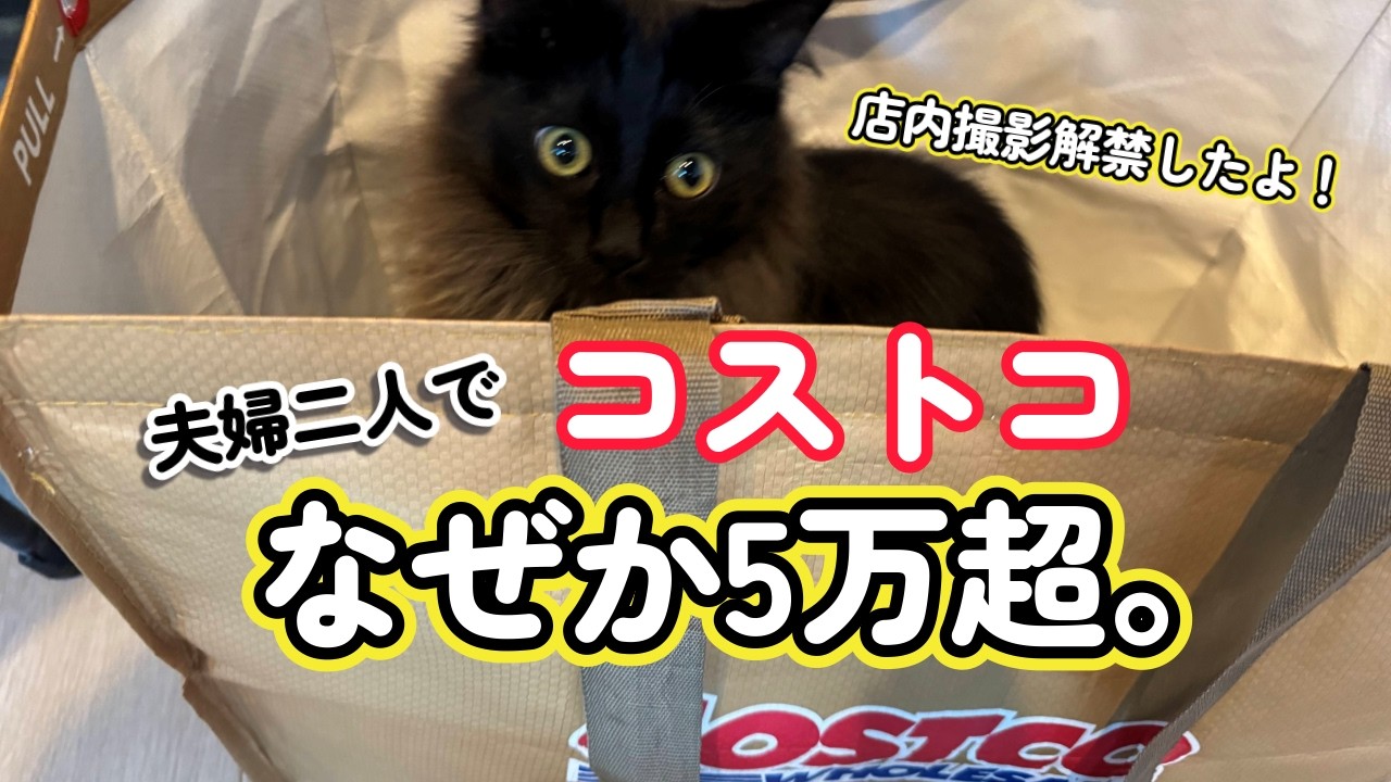 むーもー日記#20｜子なし夫婦のコストコ購入品｜何も買ってない気がするのに5万超｜