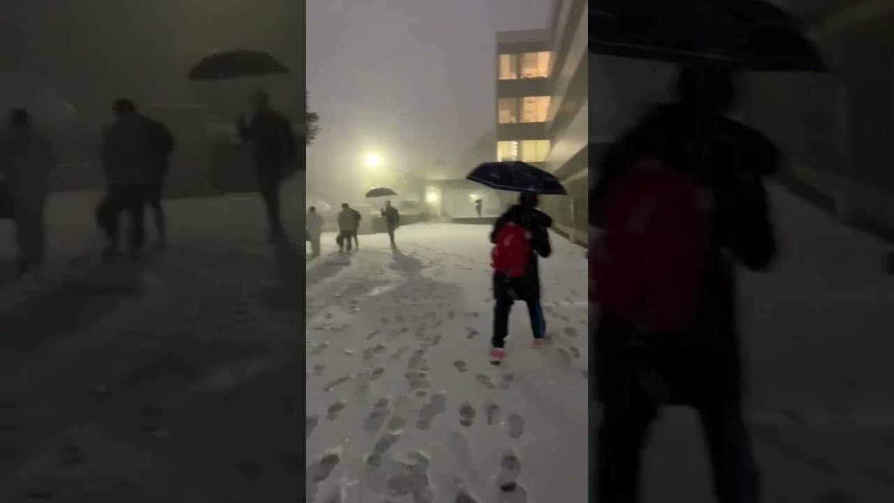 First time in 10 years heavy snowfall in Kyoto
