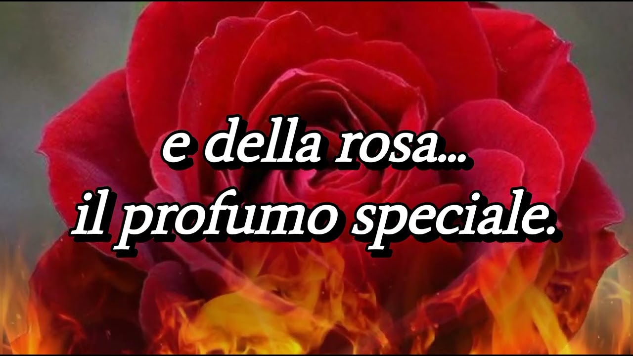 LA VITA È BELLA - di Antonella Cimaglia