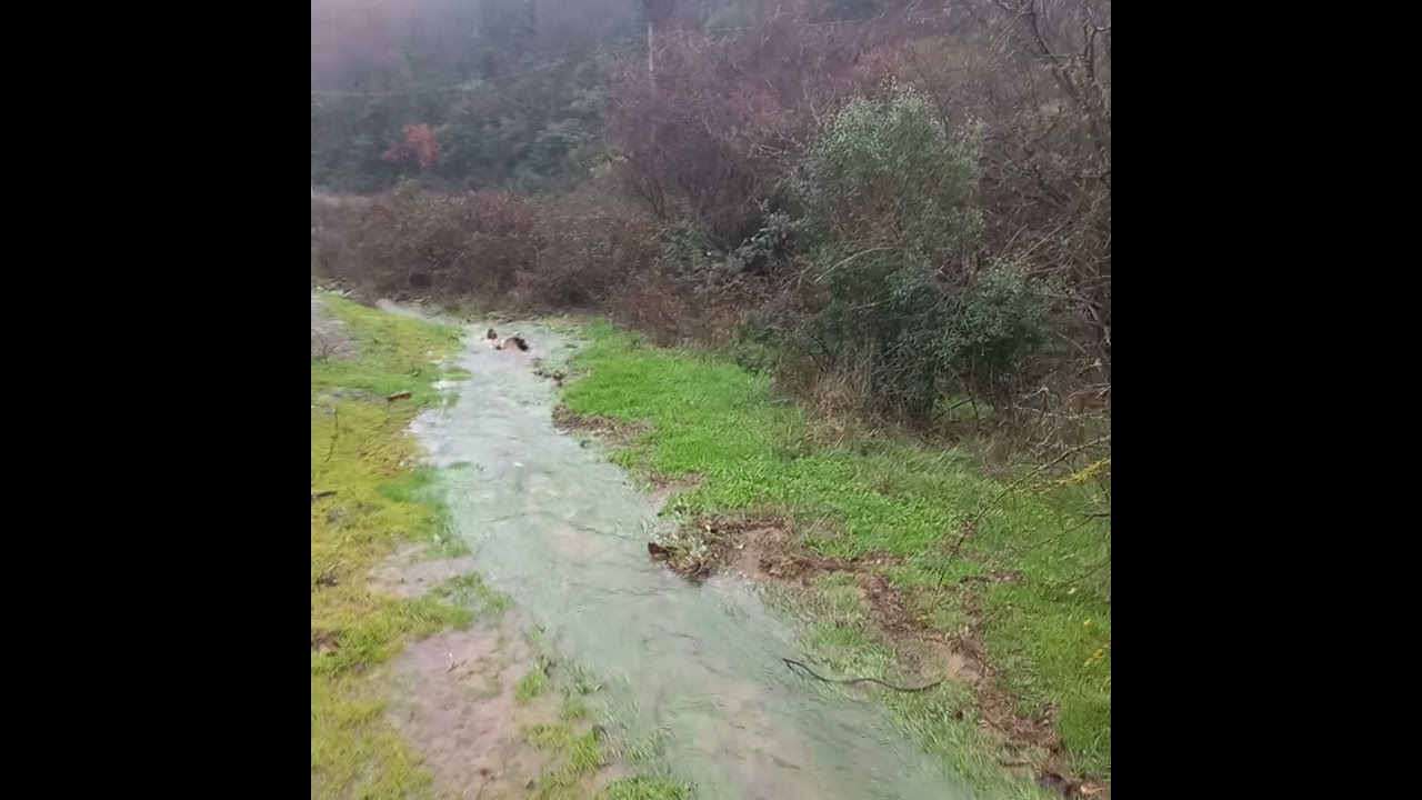Karlı güzel bir gün 🙂