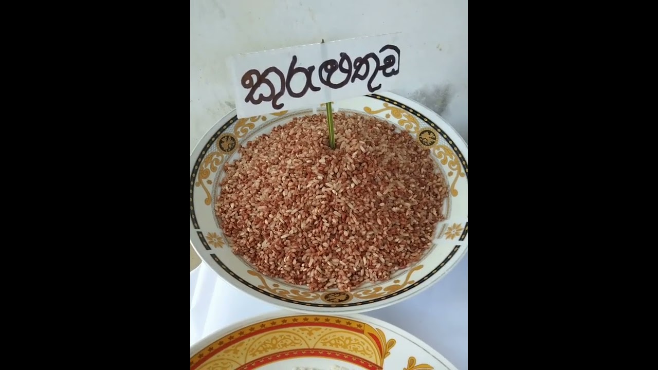 සුවදැල් ඇතුලු පාරම්පරික සහල් වල ගුණ  C.වීරසිංහආරච්ච