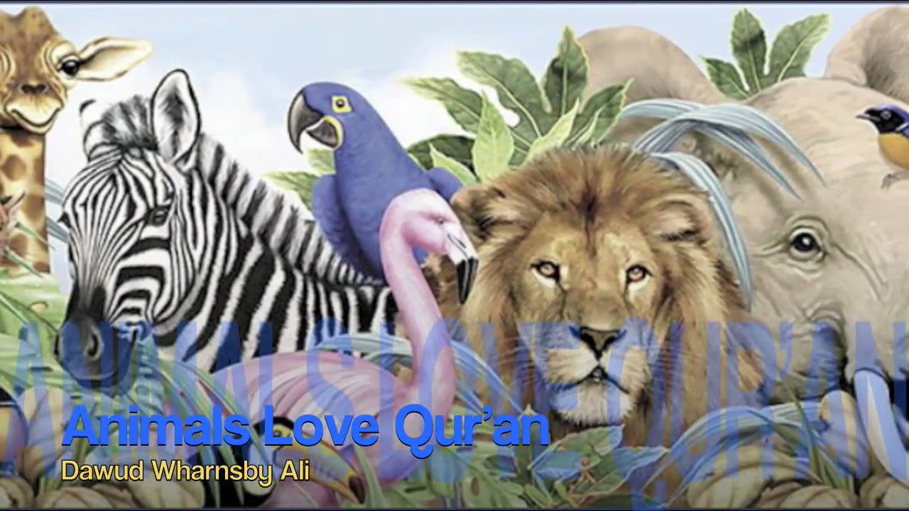 Animals Love Qur'an (By Dawud Wharnsby)