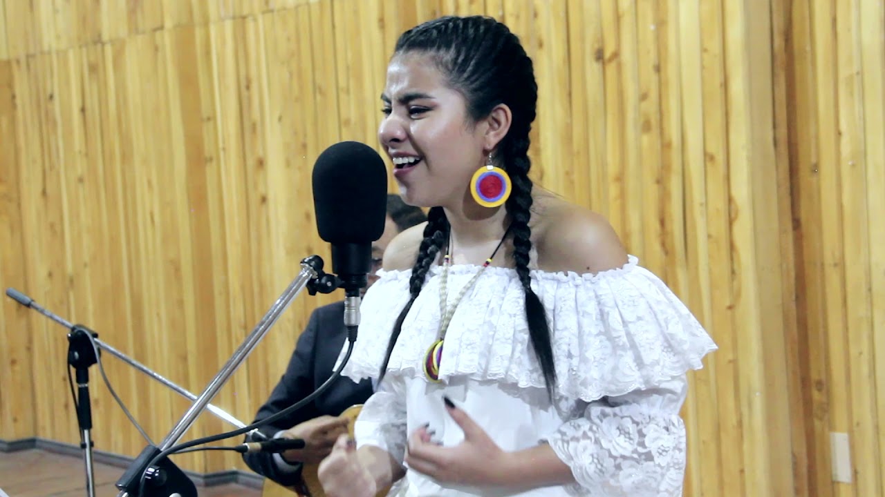 CENIZAS AL VIENTO - KATERIN MUÑOZ