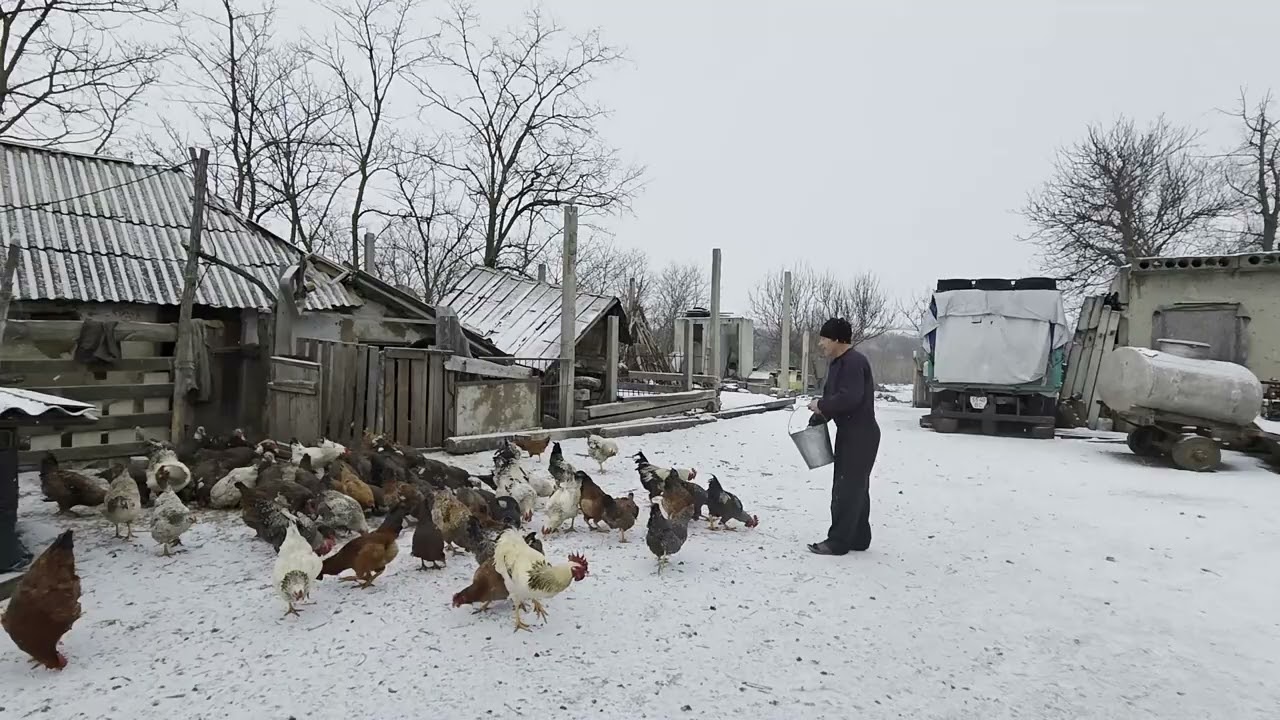 Snowy Village Life ❄️ Grandma Cooks, Grandpa Cares for Animals