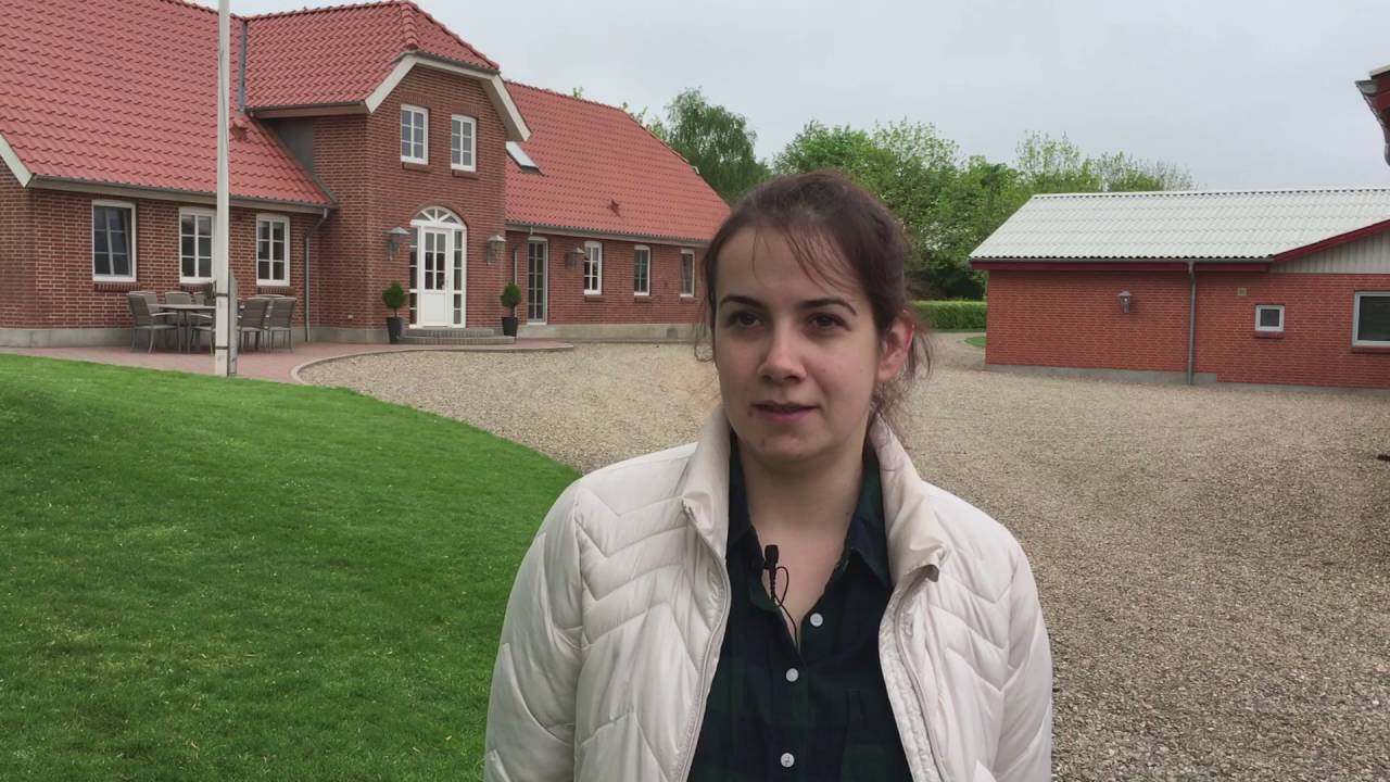 Når dansk er svært - erfaringer med udenlandske medarbejdere i landbruget