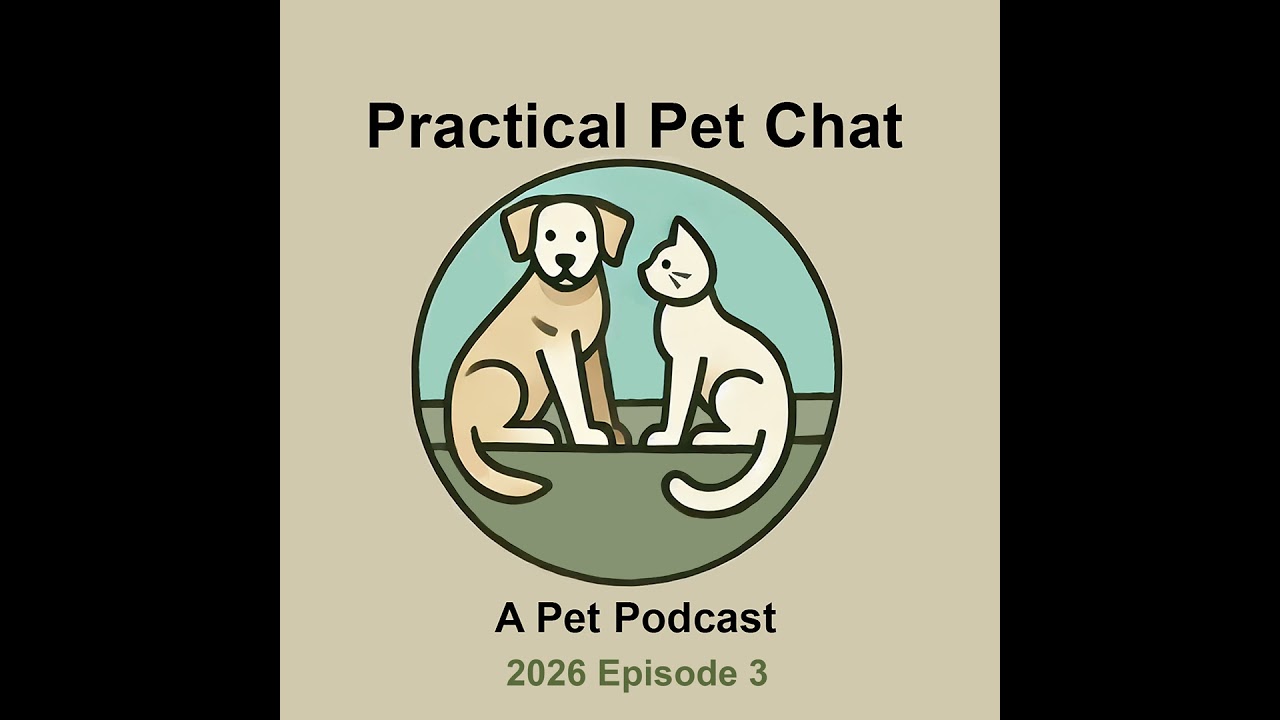 Practical Pet Chat - Episode 3 - 2026 - Out With Old In With The New - Woobies Chews Toys and More
