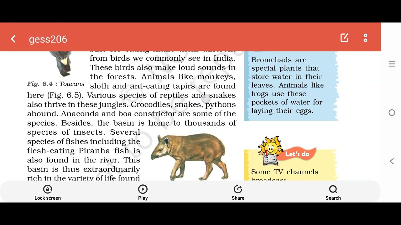 Std 7 Geography chapter 6 Human environment interaction the Tropical and Sub tropical Region