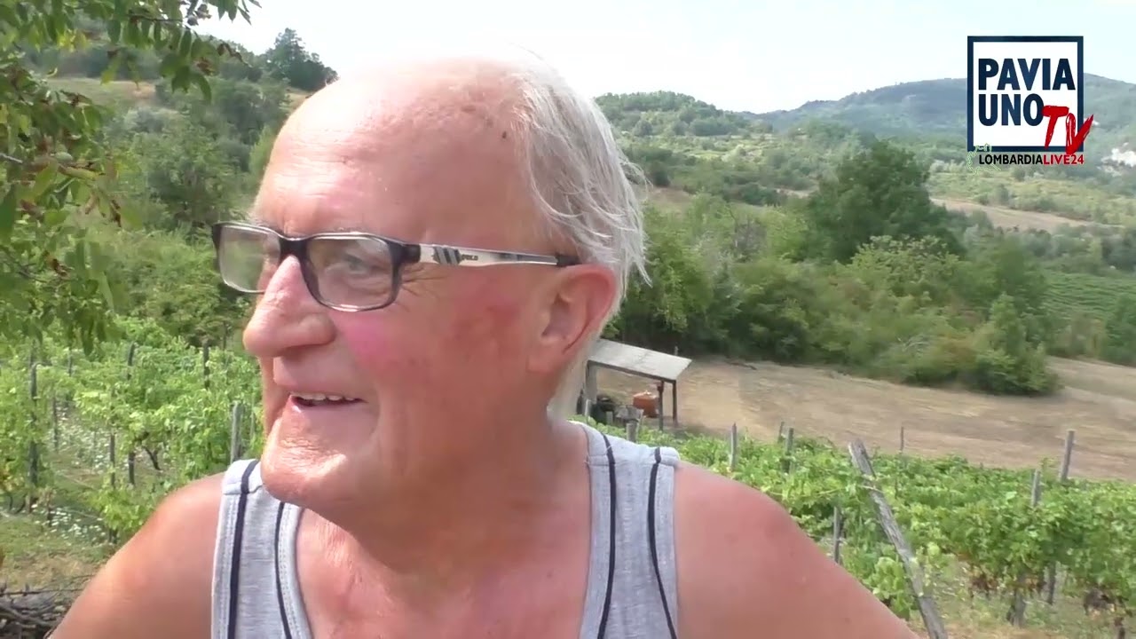 CIGNOLO: FESTA DELLE CANTINE - DI REMO TAGLIANI