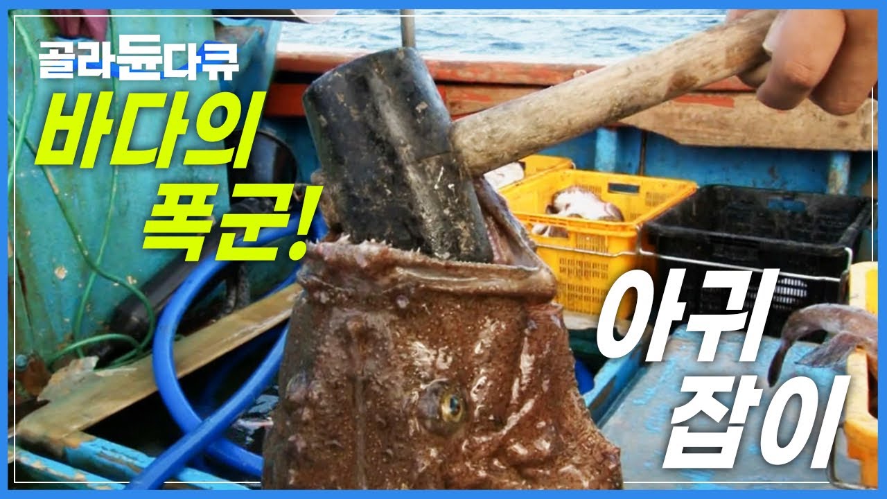 '물리면 손모가지 날아간다!' 버리기 일쑤였던 못생긴 생선의 맛있는 반란!│바다의 폭군! 아귀잡이│극한직업│#골라듄다큐