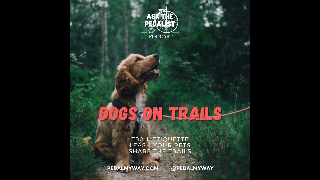 4 - Pets on trails: dogs off-leash and general trail etiquette