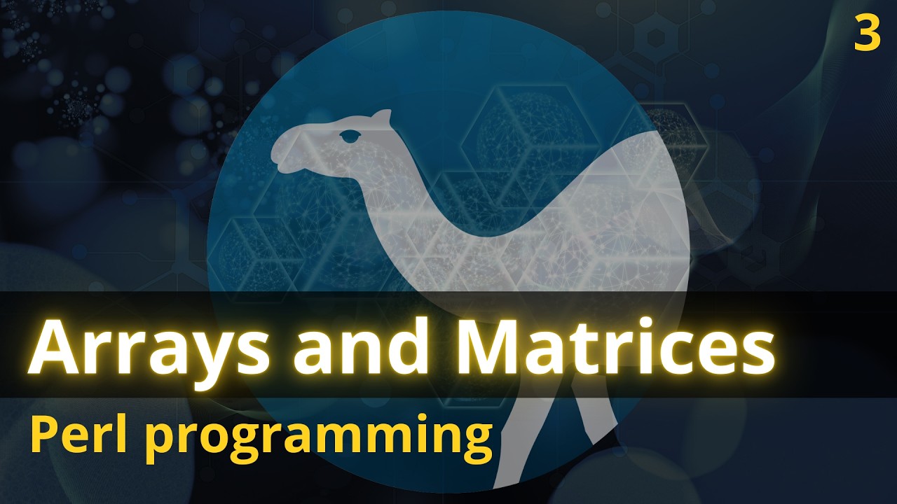 Data Structures & Big-O Explained: Static & Dynamic arrays, Major Order & Sparse Matrices