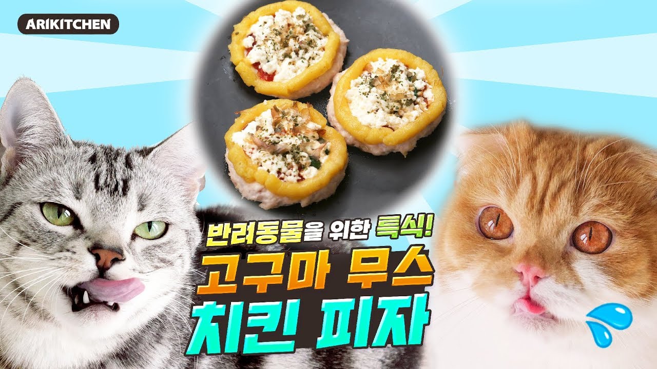 고양이들에게 피자를 만들어줬어요♥ - Ari Kitchen(아리키친)