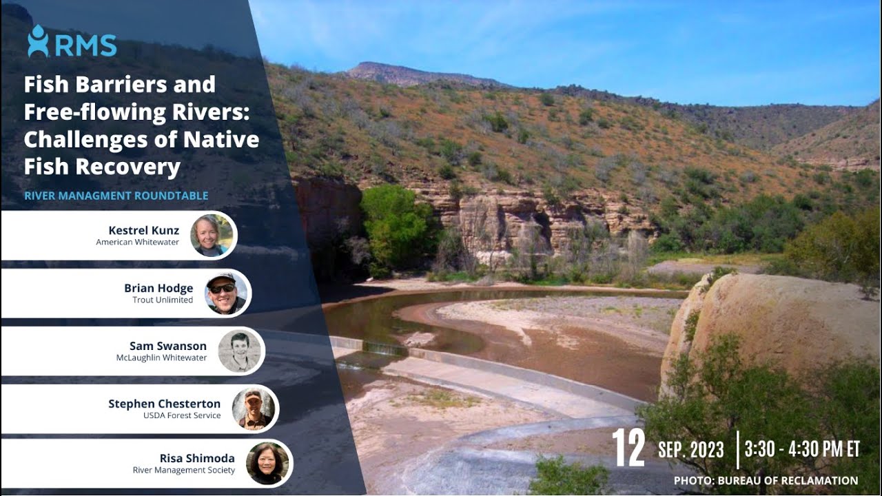 Fish Barriers and Free-flowing Rivers: Challenges of Native Fish Recovery