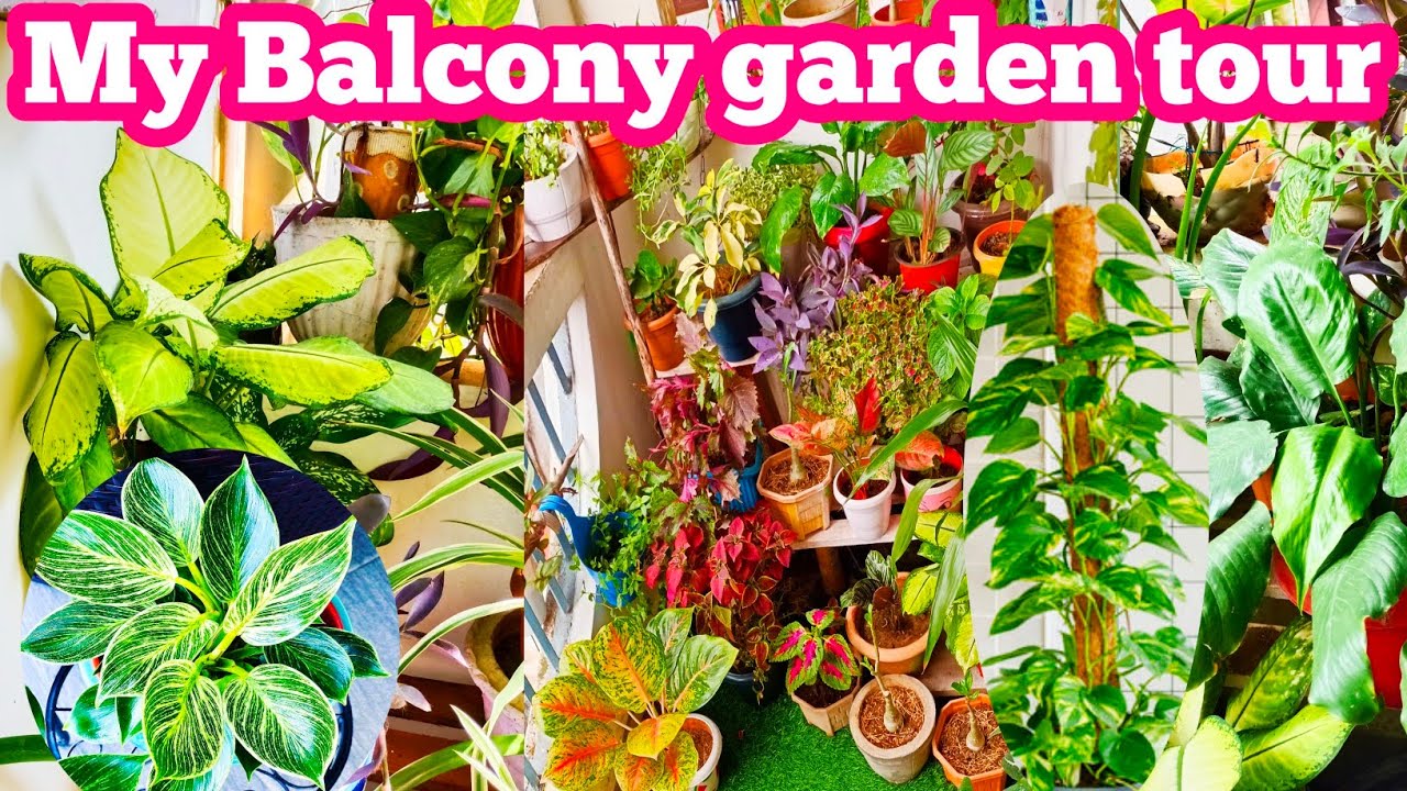 My Small Balcony Garden Tour | Balcony Garden | Balcony Garden Ideas