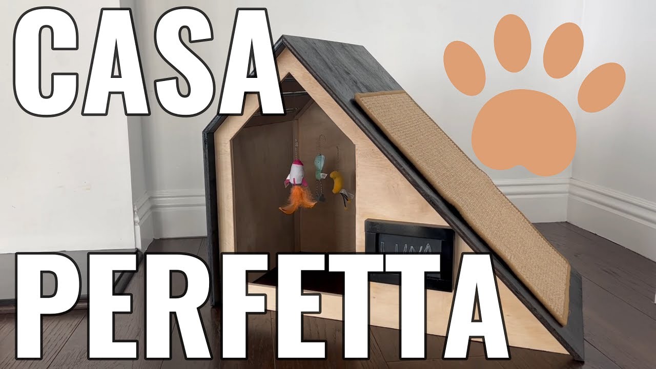 La casa assoluta per gatti del 2024 (FAI DA TE semplice e lussuosa)