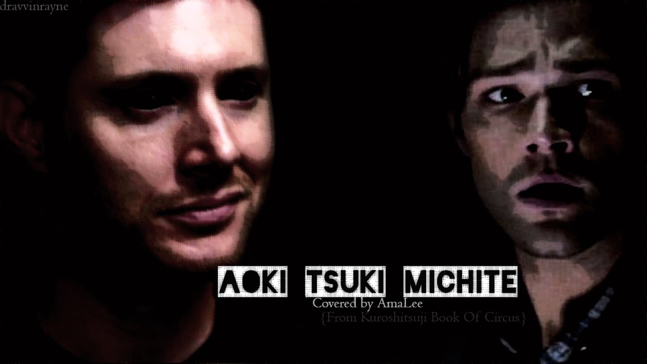 |Wincest| Aoki Tsuki Michite [Don't View If Not Into Slash]