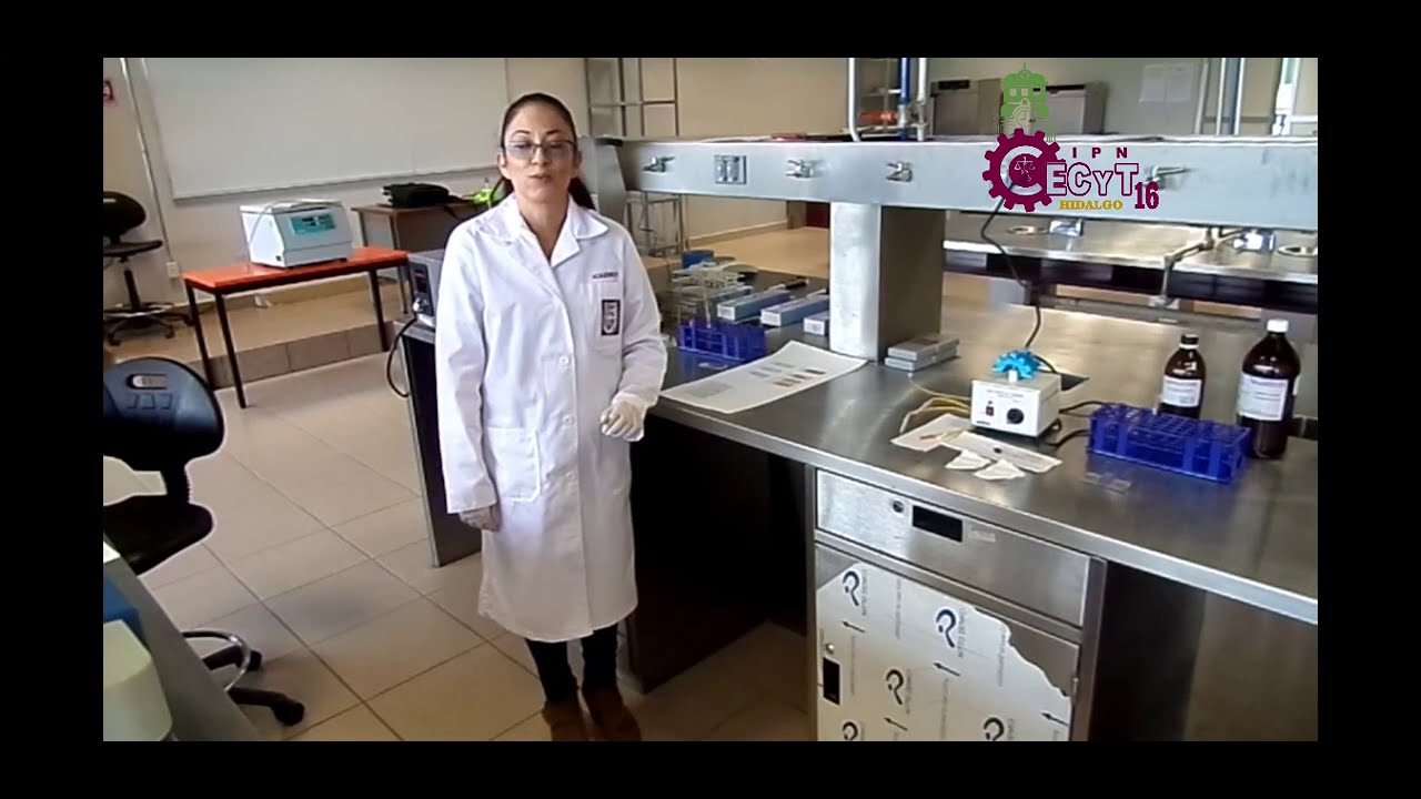 Elaboración de Frotis Sanguíneos. Serie: Laboratorista Clínico.