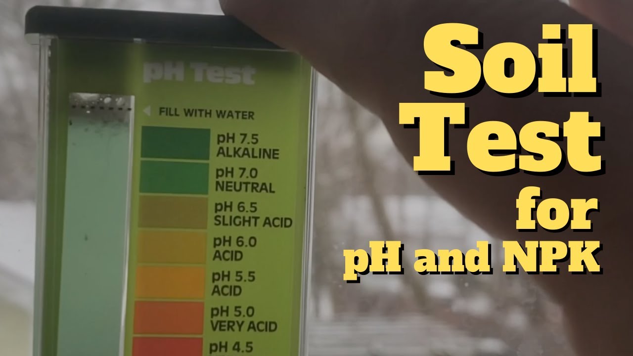 Home Soil Testing for pH and NPK with RapiTest Soil Test Kit