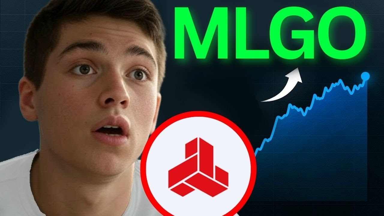 MLGO Stock IS EVEN CRAZIER! (buy?) MicroAlgo stock over 50s life insurance review