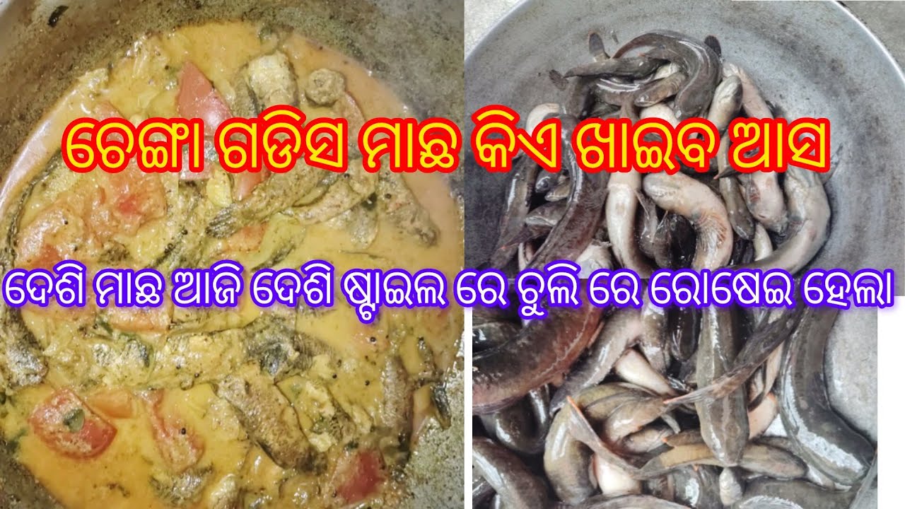 ସ୍ୱାମୀ ଙ୍କ ହାତ ରନ୍ଧା ଦେଶିମାଛ ବେସର //#familyvlog #food #cooking //👨‍👩‍👦‍👦👍🙏
