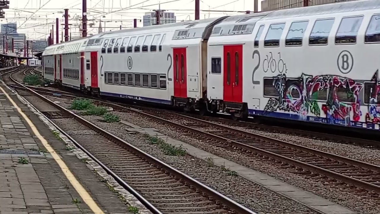 2 TGV's (TGV inoui and Eurostar red) and a double decker train to gent