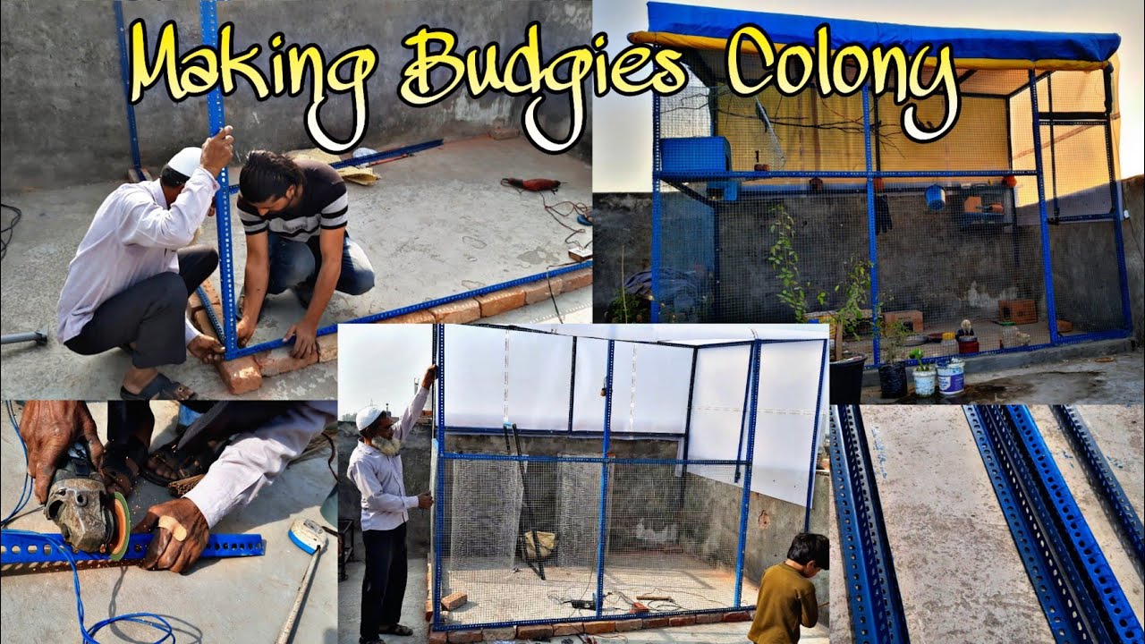 Home Aviary Making Video | DIY | Slotted Angle Bird Cage |
