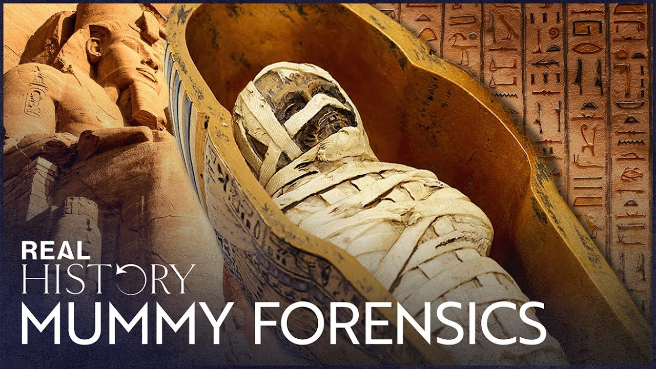 Why Is This Mummy Missing Their Genitals?