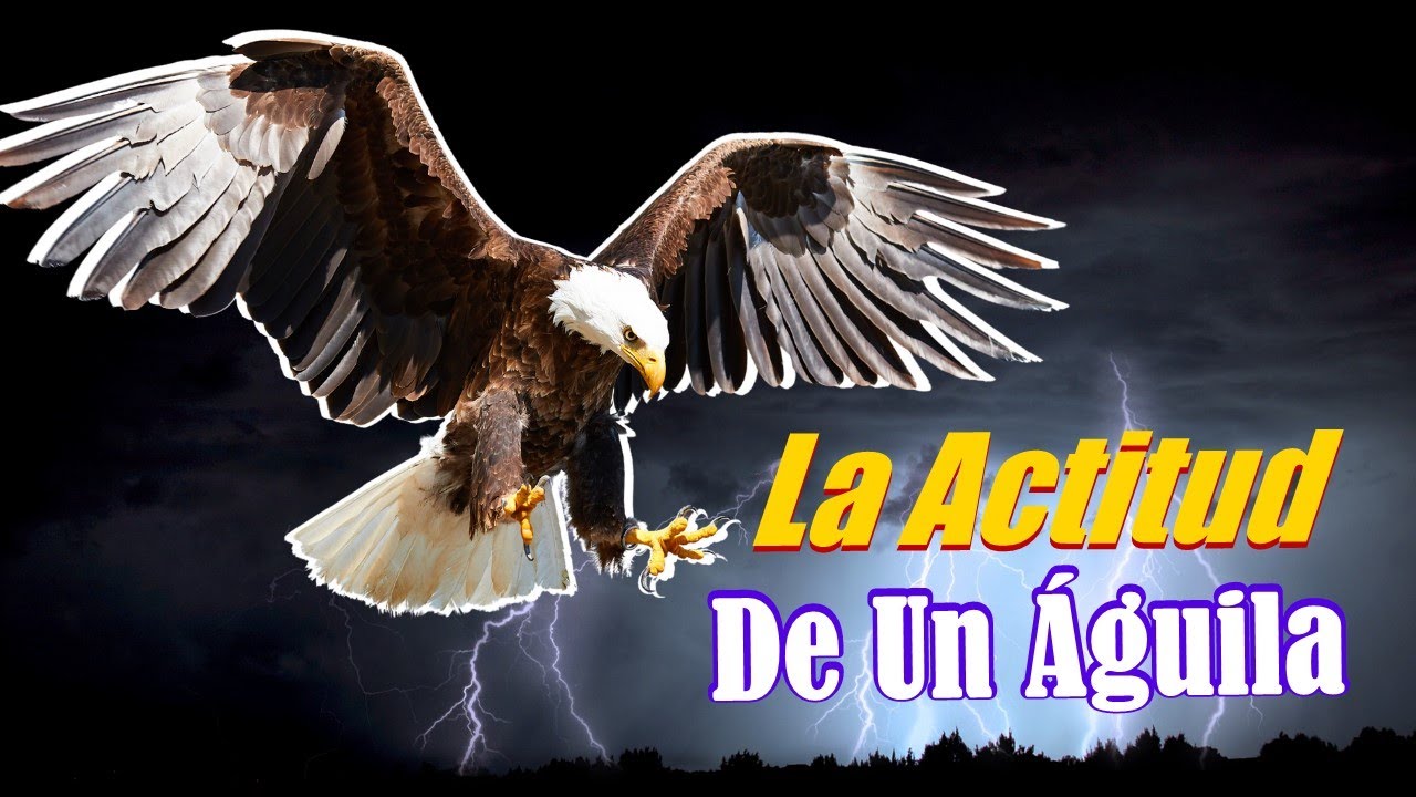 🦅🔥 El PODER de la ACTITUD 🔥🦅  La ACTITUD De Un AGUILA - Poderoso Mensaje MOTIVACIONAL 🦁🦁