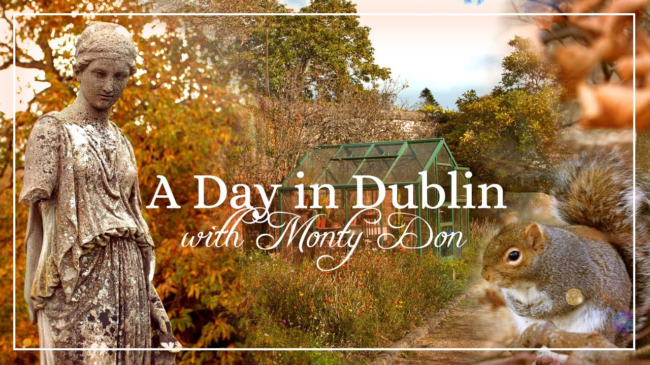 Relaxing Forest Walk | A Day in Dublin | Monty Don | Cosy Autumn Vlog | Cottage Garden Ideas