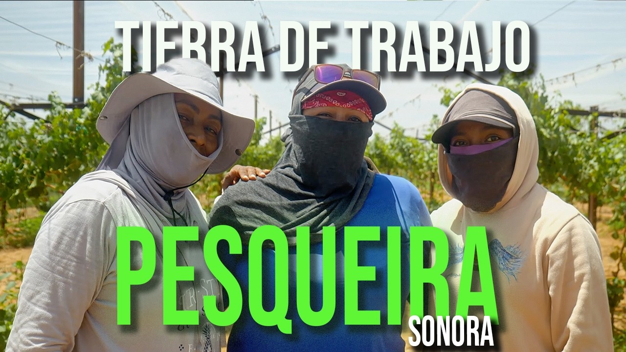 PESQUEIRA, Sonora: la TIERRA que no se RINDE | ¿Cómo es trabajar el campo en Sonora siendo mujer?