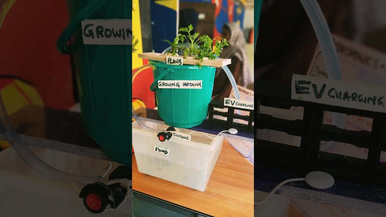 Amazing School Project: Hydroponics- Hydroelectricity Combo..! #schoolproject #science #hydroponics