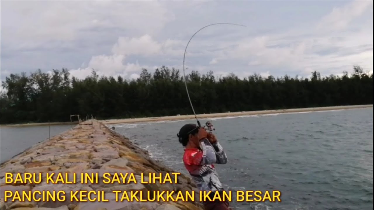 Mancing bersama Arie Kalbar...Dia taklukkan ikan musiman besar