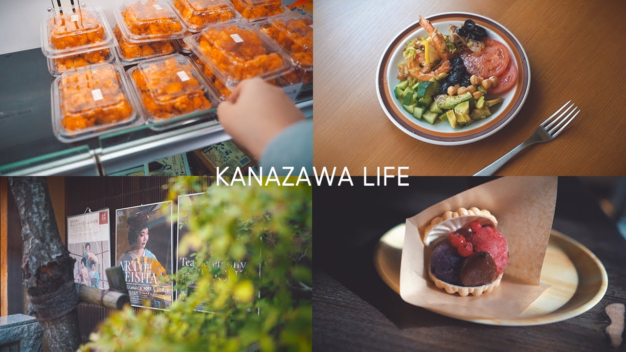 【가나자와 vlog】 👩🏻‍🍳🍳밀린 요리,차완무시,다이어터식단샐러드🍤, 겐로쿠엔산책,라이트업