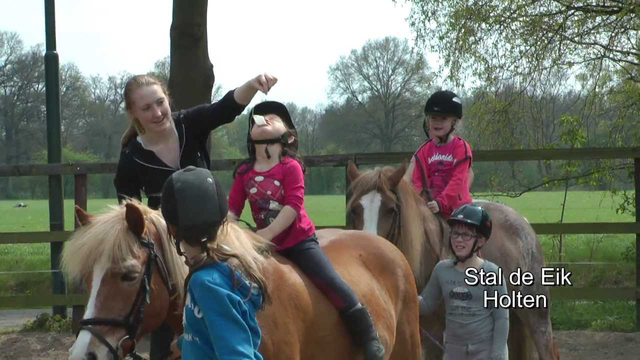 Ponykamp Stal de Eik HD
