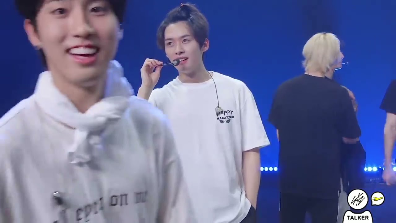 [Straykids] 아귀도 웃고 갈 쿼카의 매력 속으로