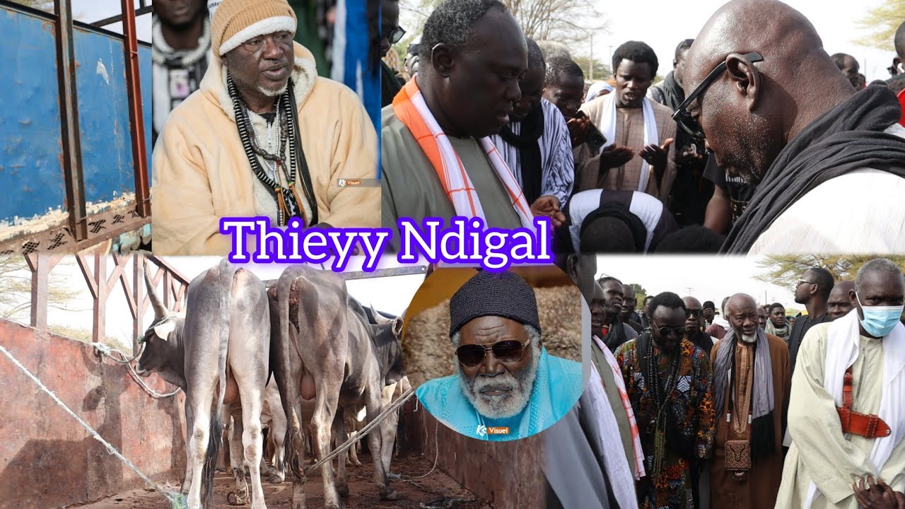 16ème Jour Ndogou Baye fall Serigne Cheikh Ndiguël fall Déballé Watna 10 Nak ci S Amdy Khady fall 