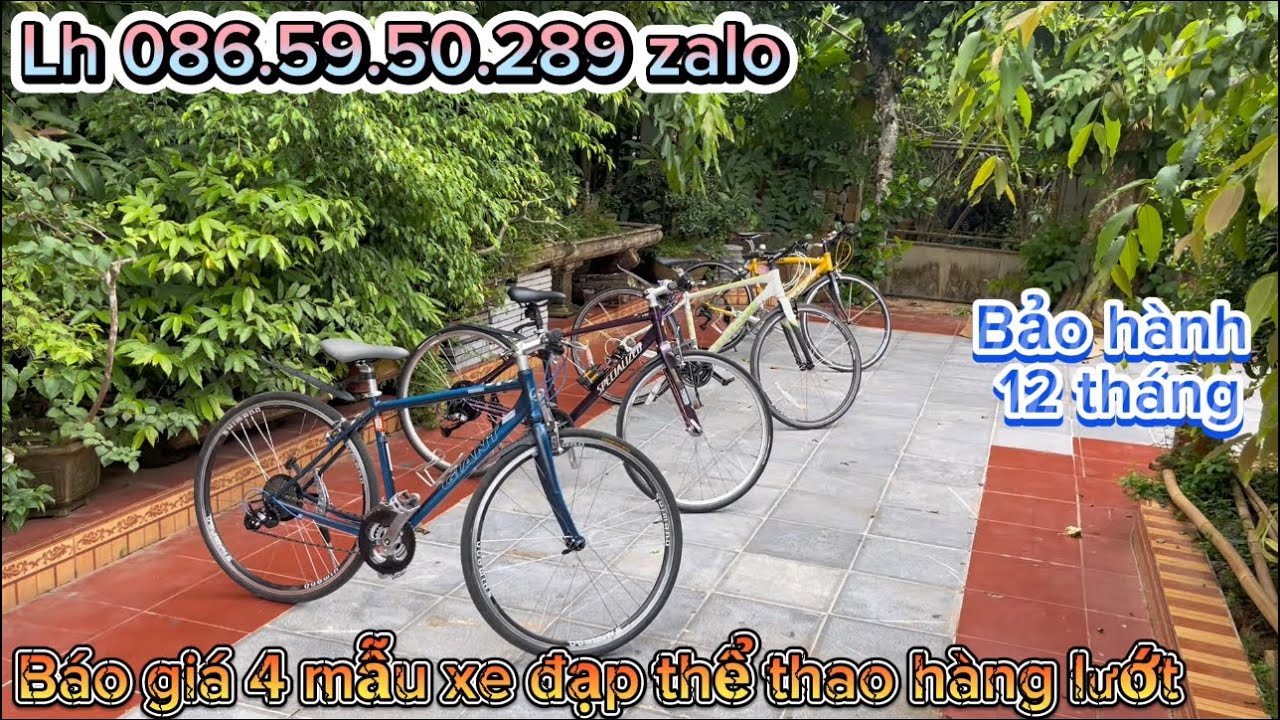 xe đạp thể thao nhật bản h&agrave;ng lướt chất lượng cao độ mới 90% gi&aacute; rẻ. Lh 086.59.50.289 zalo
