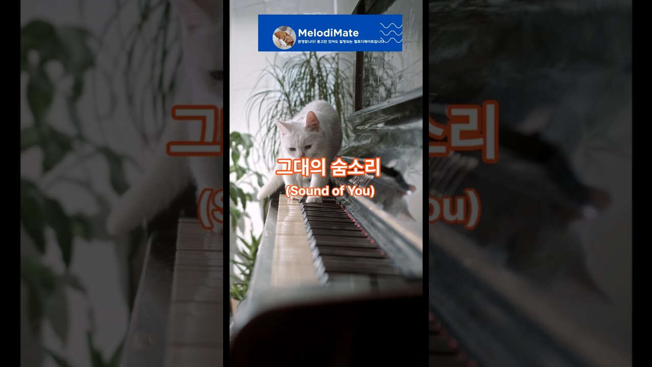 그대의 숨소리 (Sound of You) #SoftVocal #Dreamy #AcousticPiano #BreathOfLove #NewAgeFeel