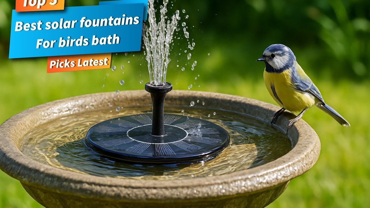 ✅ Best solar fountains for birds bath: Solar fountains for birds bath (Buying Guide)