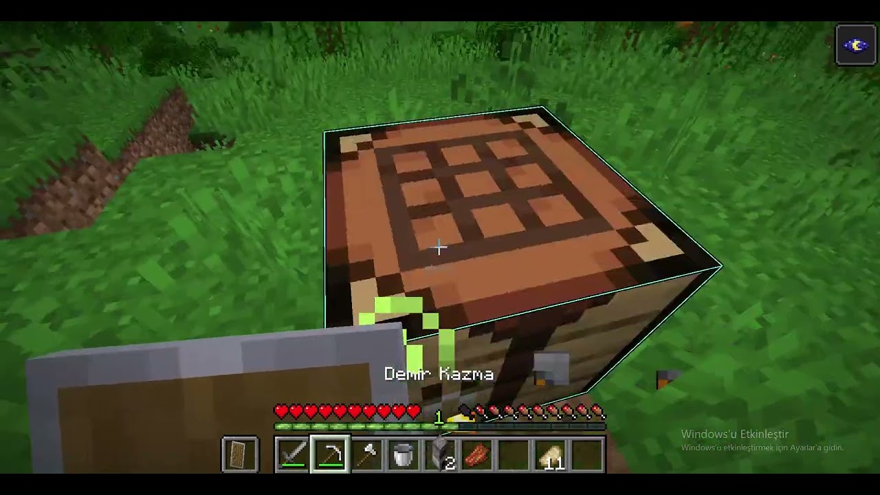 Minecraft Survival