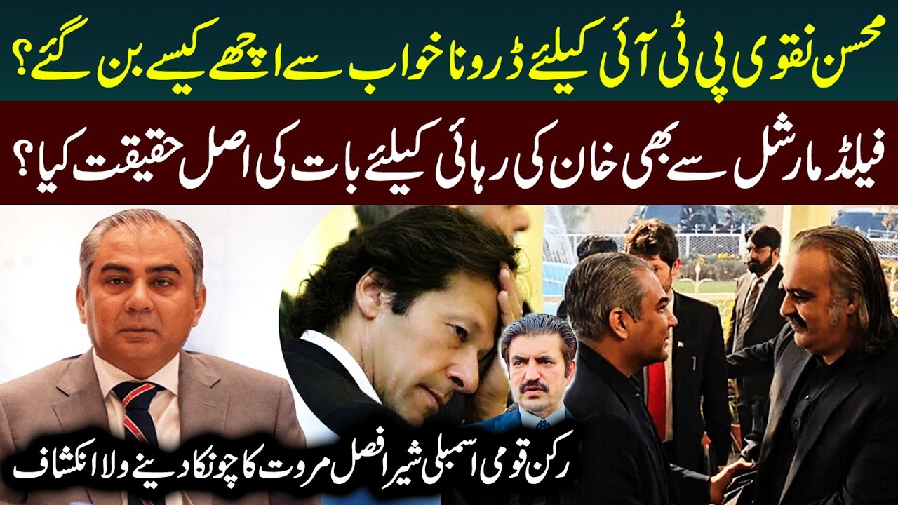 How Mohsin Naqvi Turned From Nightmare to Asset for PTI & Shocking Revelations by MP Sheer Afzal