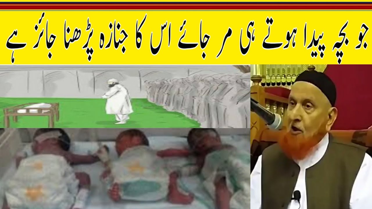 جو بچہ پیدا ہوتے ہی مر جائے اس کا جنازہ پڑھنا جائز ہے/مولانا مکی الحجازی/مدینہ درس/Madina Dars