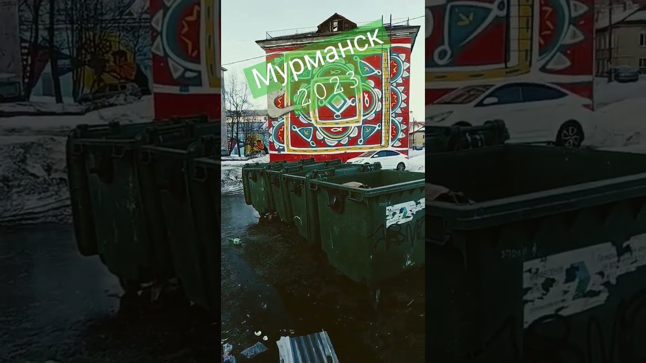 Муралы / Дворы / Помойки Мурманск 2023 Творческий Мурманск #short #shorts #dizzy51style #murmansk