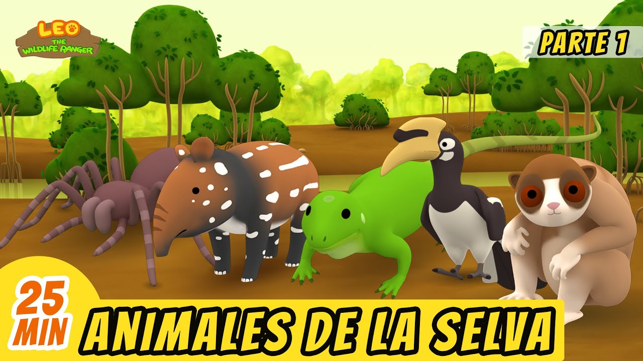 Animales de la Selva Episodio Compilación [Parte 1/2] (Español) - Leo, El Explorador | Animación