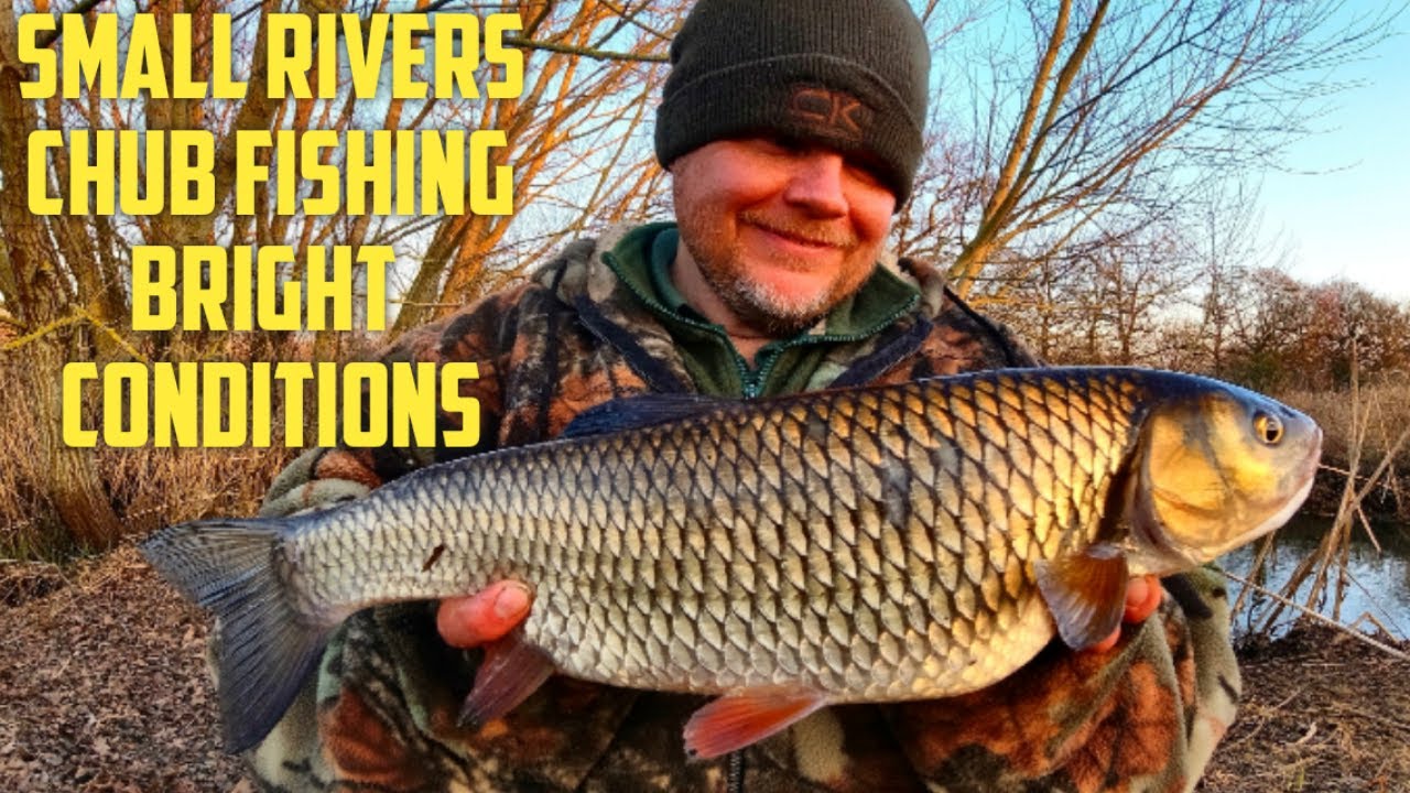 Small River Fishing - Winter Fishing In Bright Conditions (Video 253)