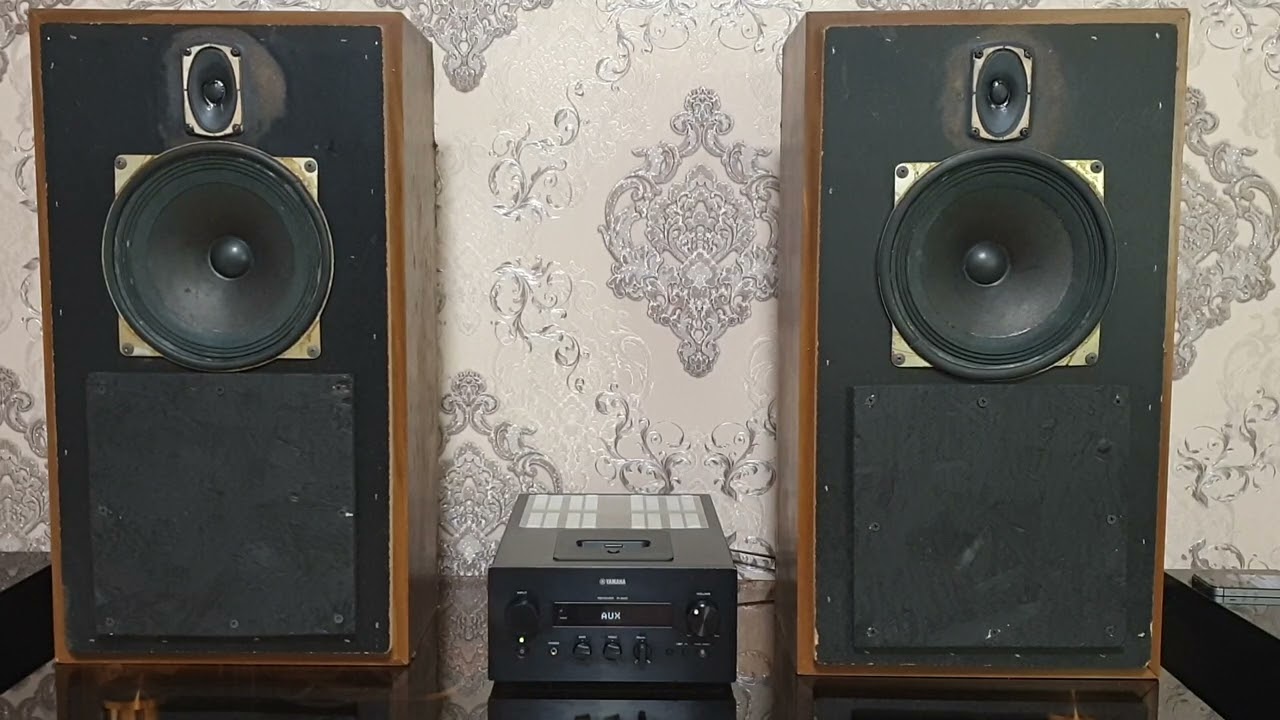 10ГДШ-2-4 + 3ГДВ-1-8 в корпусе Sony SS-37   мурашки по коже обеспечены!