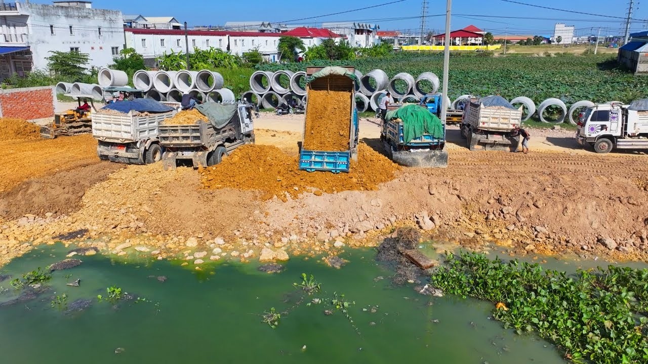 Masterful Technique: Dozer D20P Leveling with 5T Truck Moving and Dumping Soil